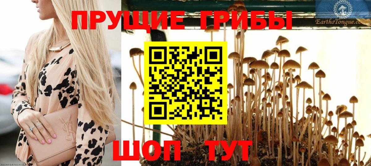 Ноябрьск  Галлюциногенные грибы мицелий  Вход с VPN 