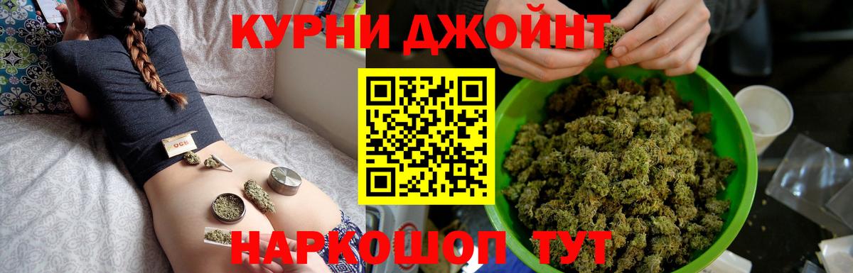 Бошки Шишки гибрид Ноябрьск